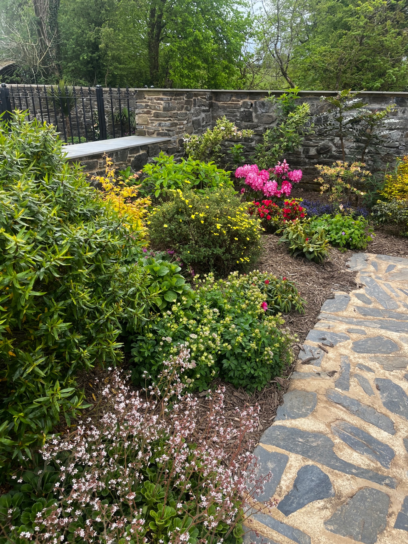 Mixed garden border against a stone wall
