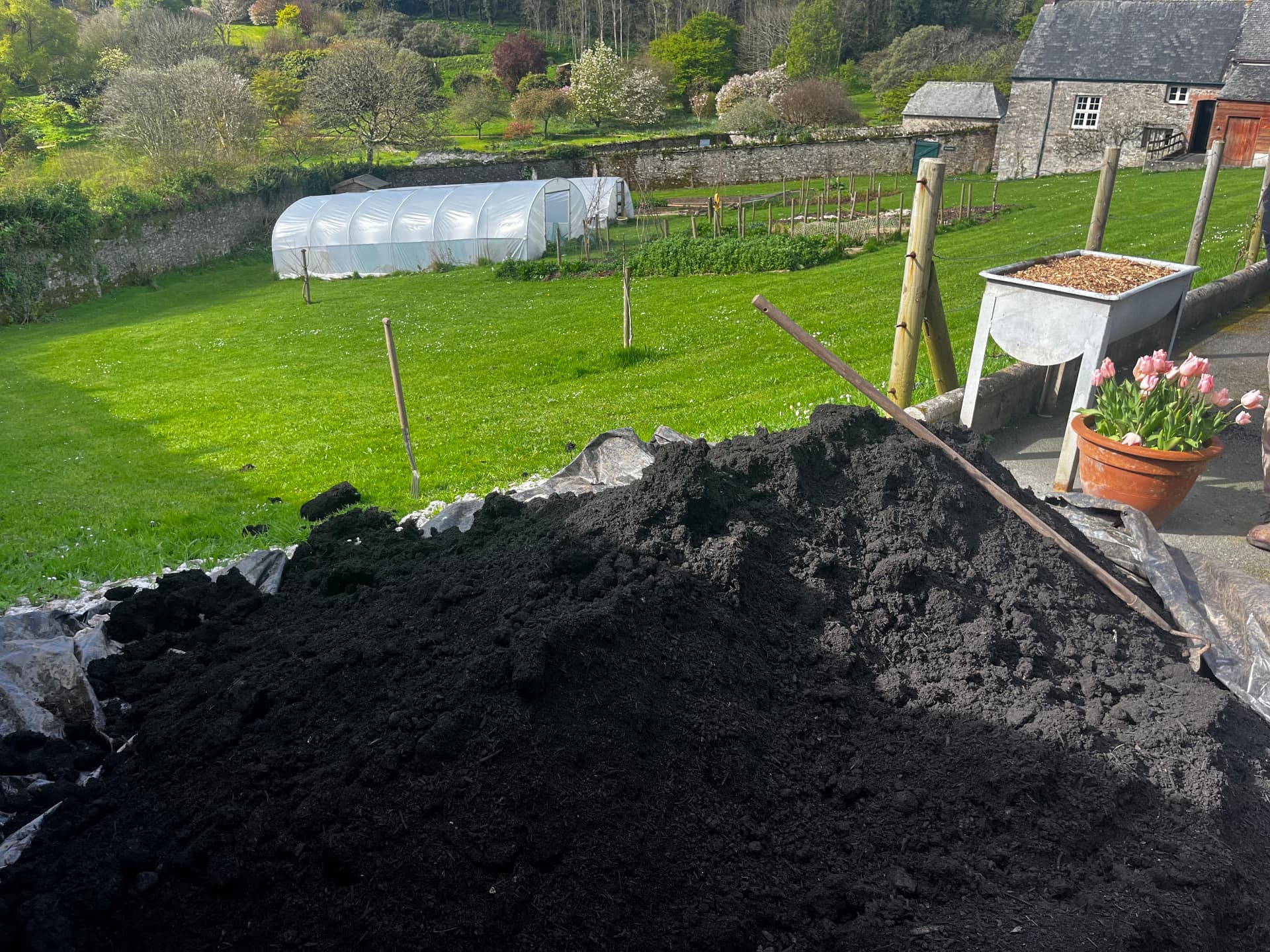 Compost heap tipped onto sheeting beside a walled kitchen garden in Cornwall
