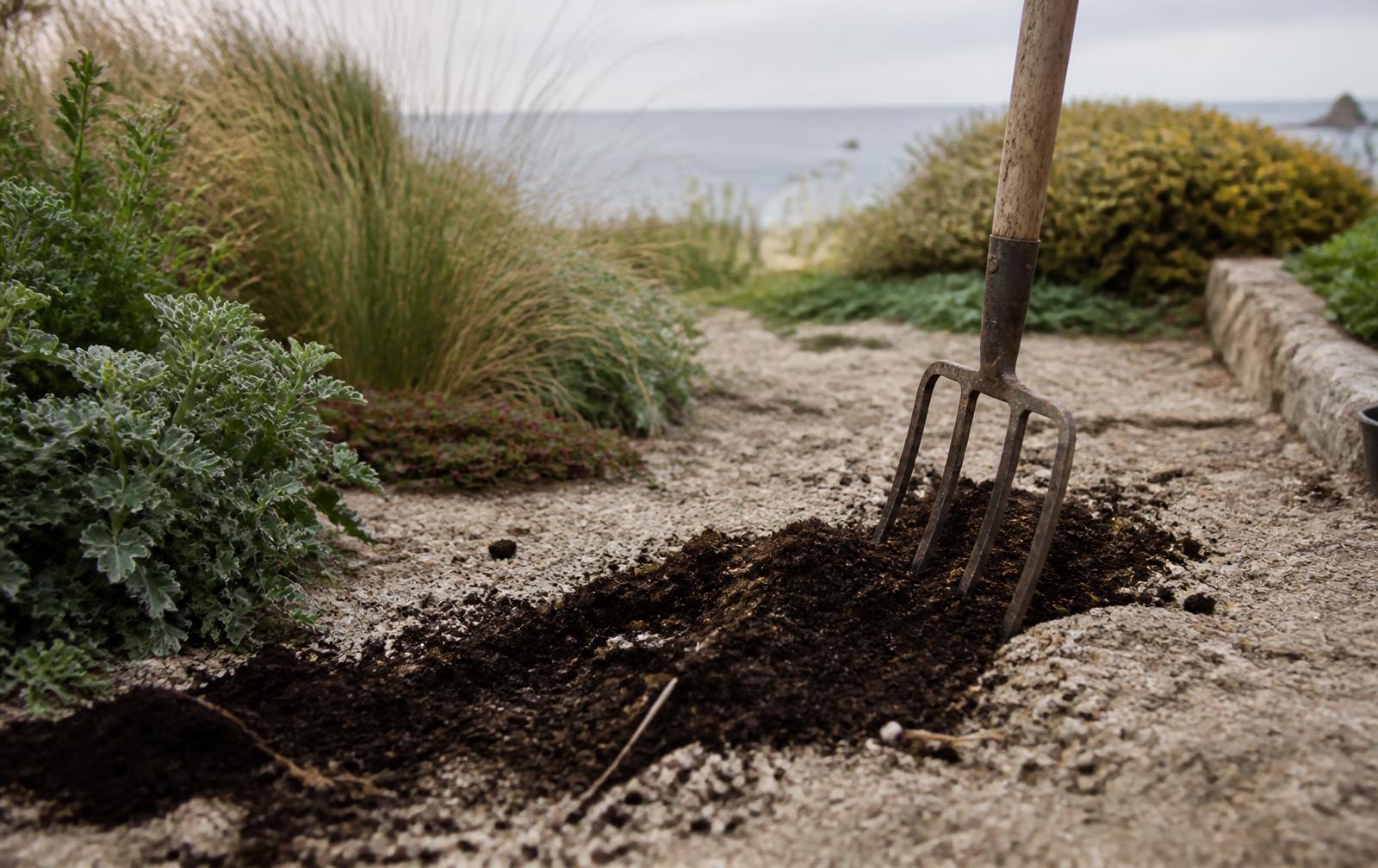 How to improve sandy coastal soil